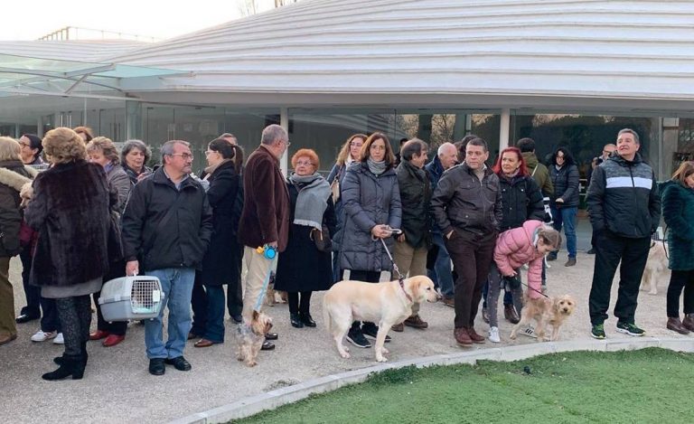 Mascotas en el jardin de la parroquia