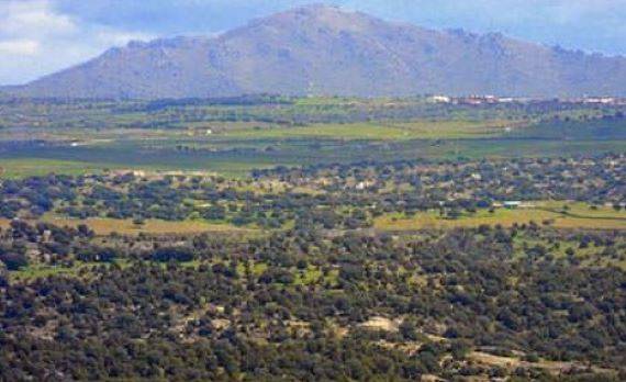 Cerro de San Pedro